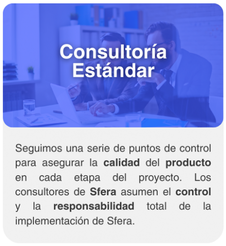 Consultoría 1